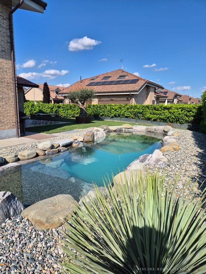 Piccola piscina Rocks Design con un’agave in primo piano e un ulivo sullo sfondo
